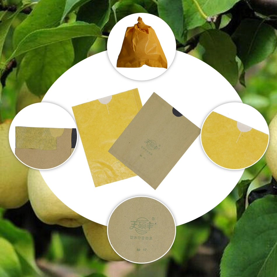 Fruit Cover Mango Fruit Protection Bags Paper